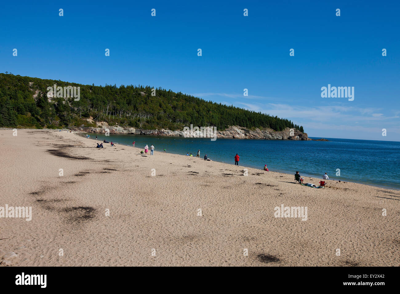 Sandstrand mit Menschen am Ufer, Acadia National Park, Maine, Vereinigte Staaten von Amerika Stockfoto