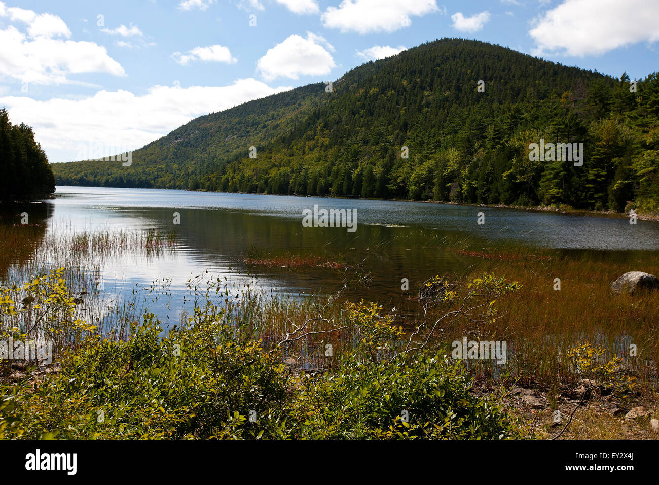 Blase Teich, Acadia National Park, Maine, Vereinigte Staaten von Amerika Stockfoto