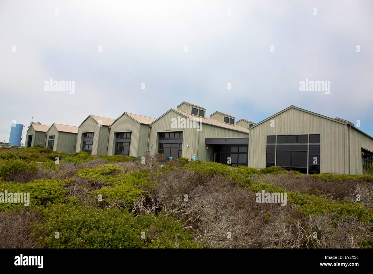 Seymour Marine Discovery Center, Santa Cruz, California, Vereinigte Staaten von Amerika Stockfoto