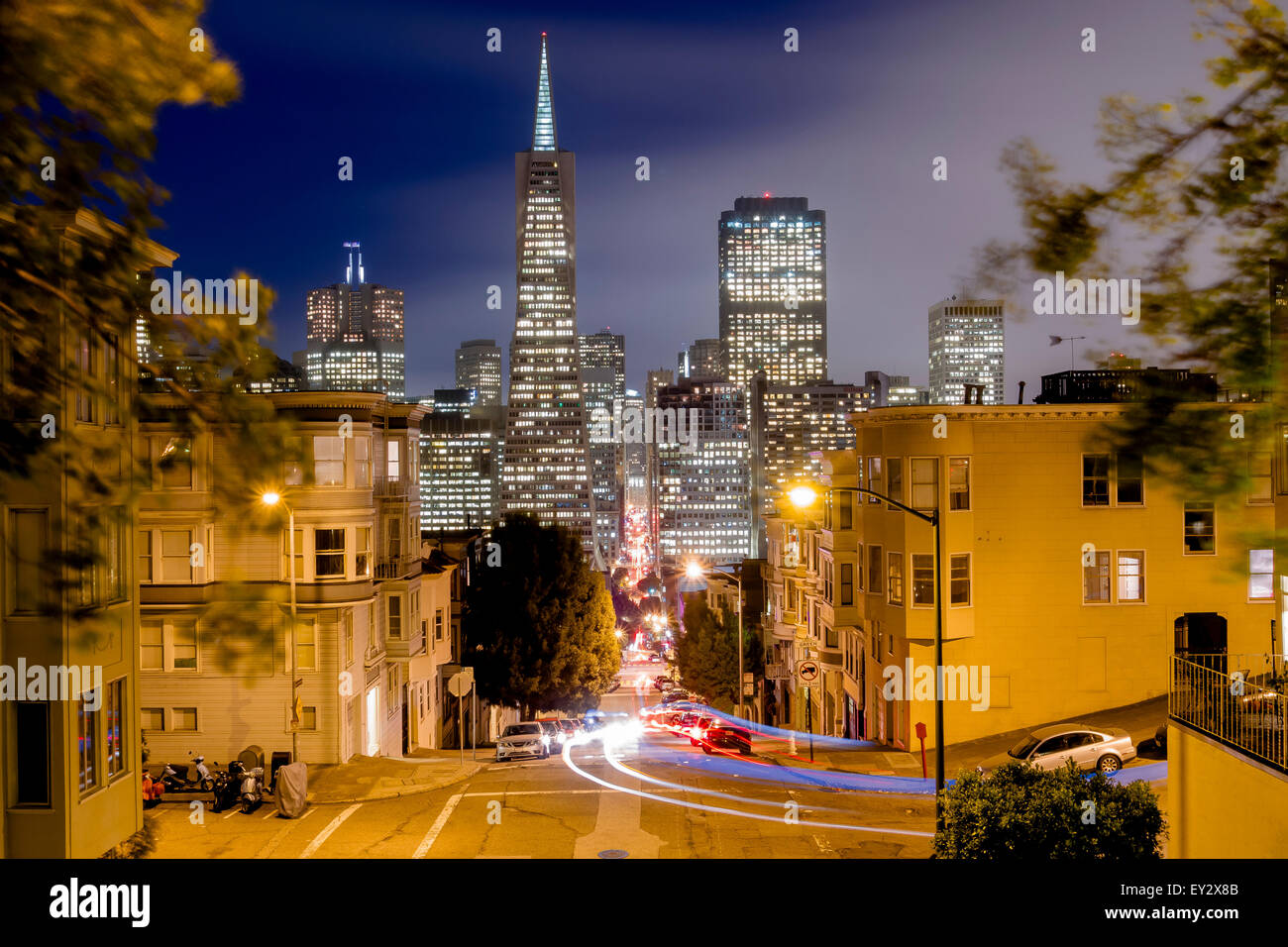 Downtown San Francisco und die Transamerica Pyramide vom Telegraph Hill, San Francisco, Kalifornien, USA Stockfoto