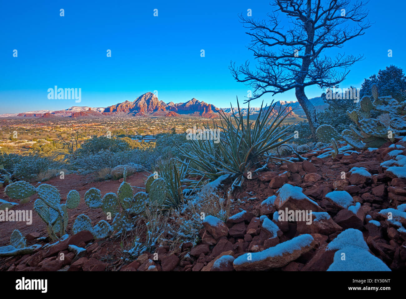 Sedona nach Neuschnee, Arizona, USA Stockfoto