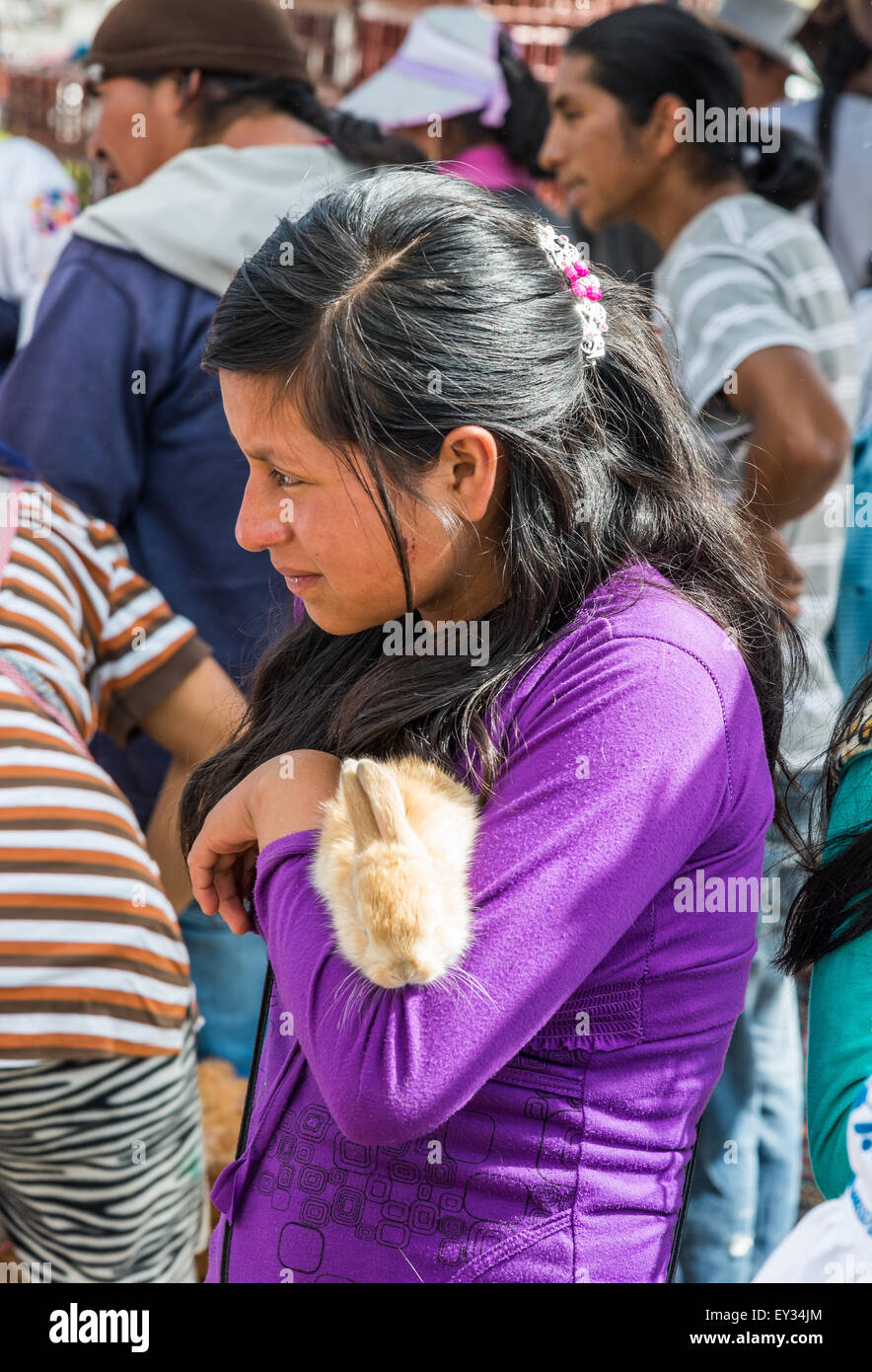 Ein junges Mädchen hält ein Haustier Kaninchen am lokalen Markt. Otavalo, Ecuador. Stockfoto