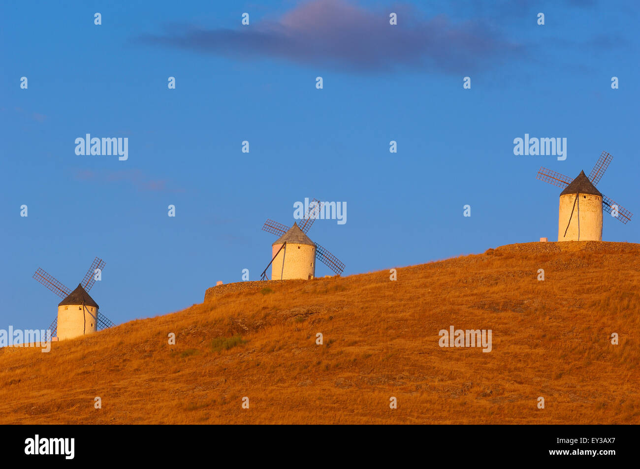 Consuegra, Windmühlen, Provinz Toledo, Route des Don Quijote, Castilla-La Mancha, Spanien Stockfoto