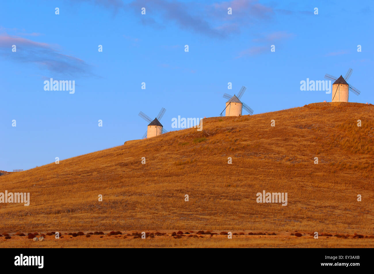 Consuegra, Windmühlen, Provinz Toledo, Route des Don Quijote, Castilla-La Mancha, Spanien Stockfoto