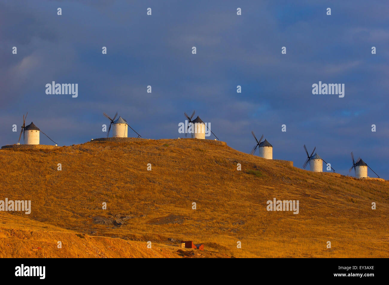 Consuegra, Windmühlen, Provinz Toledo, Route des Don Quijote, Castilla-La Mancha, Spanien Stockfoto