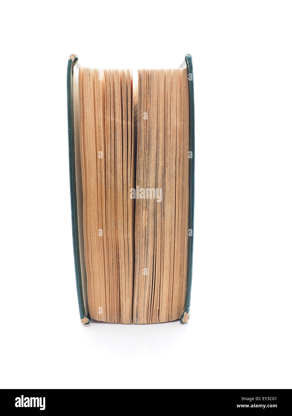 grünes Buch auf weißem Hintergrund Stockfoto