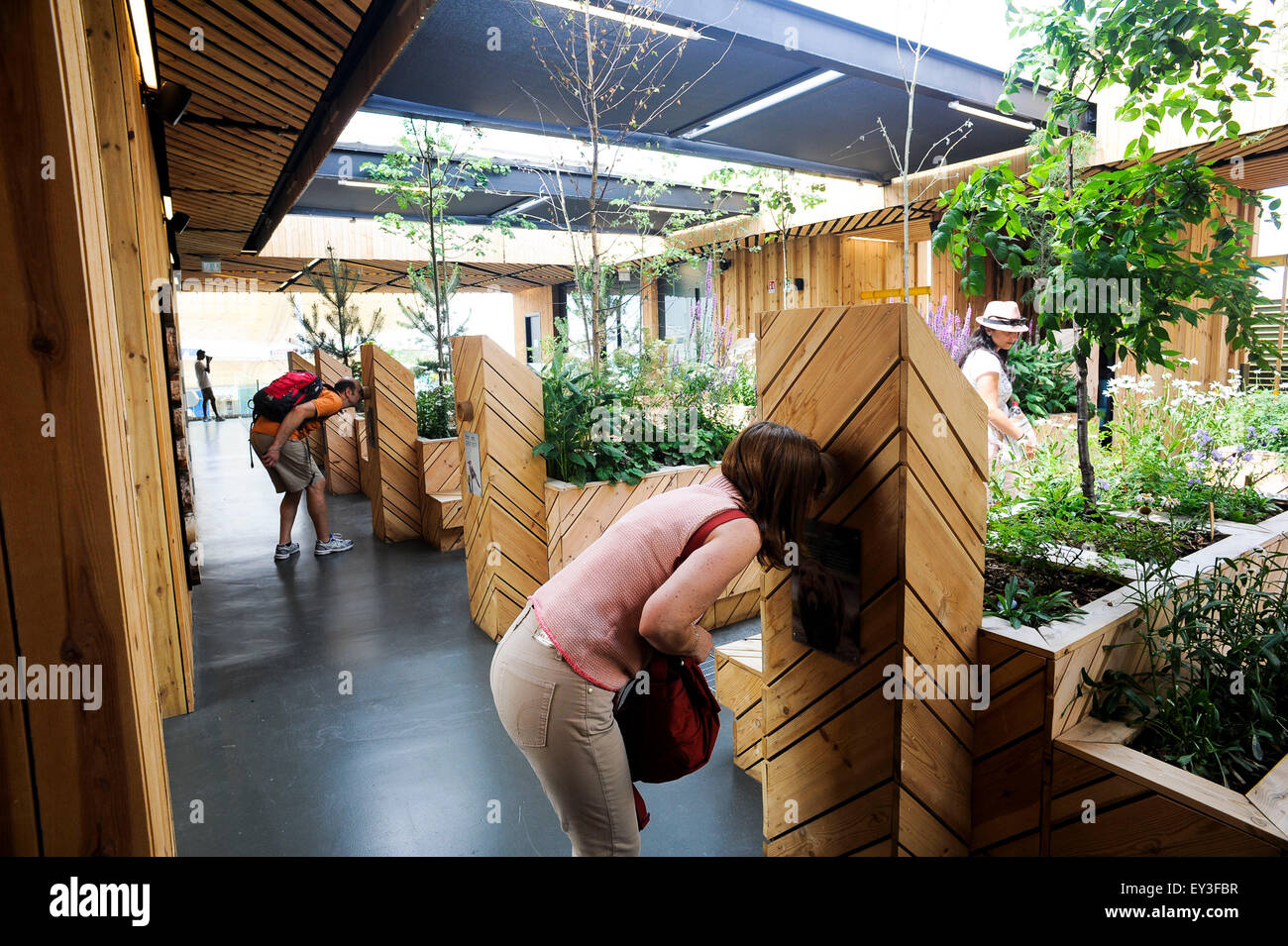 Italien Mailand Expo Pavillon Estland 2015, Architektur, Gebäude, Stadt, bunten, Bau, Europa, europäisch, Veranstaltung, Veranstaltungen, Stockfoto