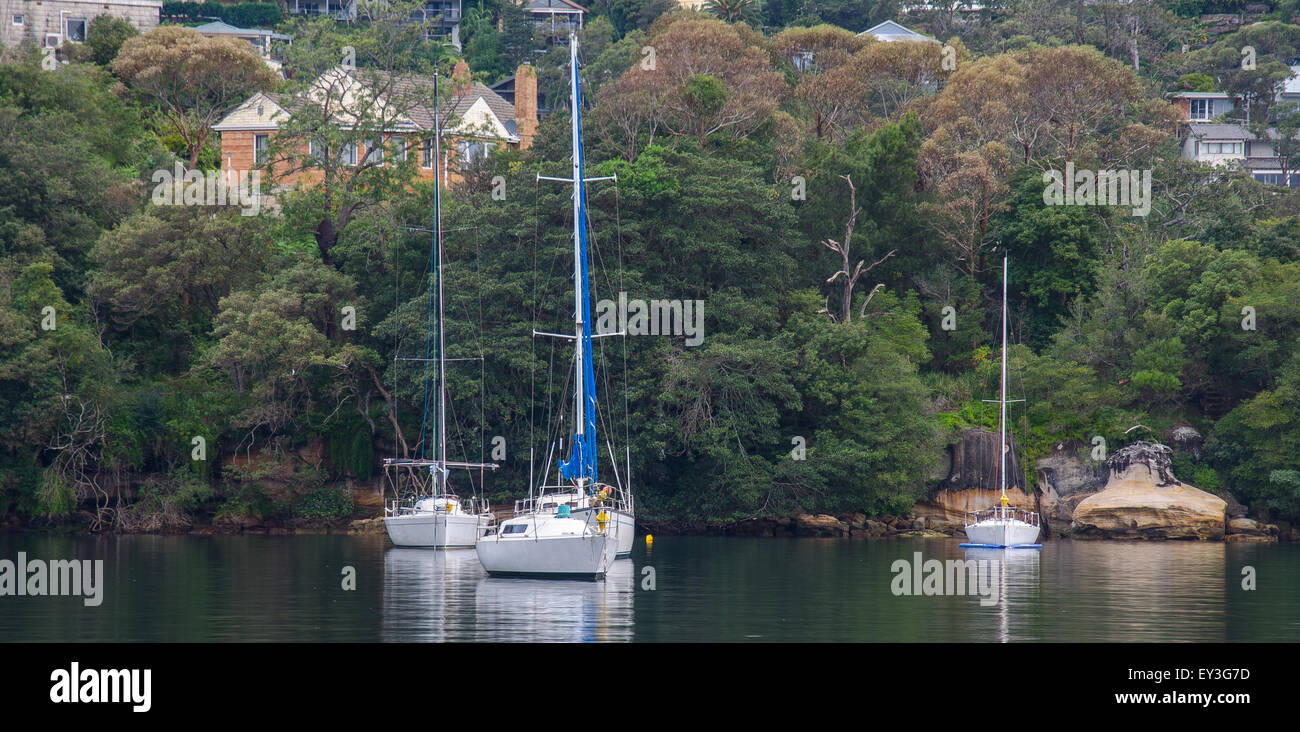 Jachten liegen in der Nähe der Spit Bridge in einem ruhigen oberen Teil von Sydney Harbour, New South Wales, Australien Stockfoto
