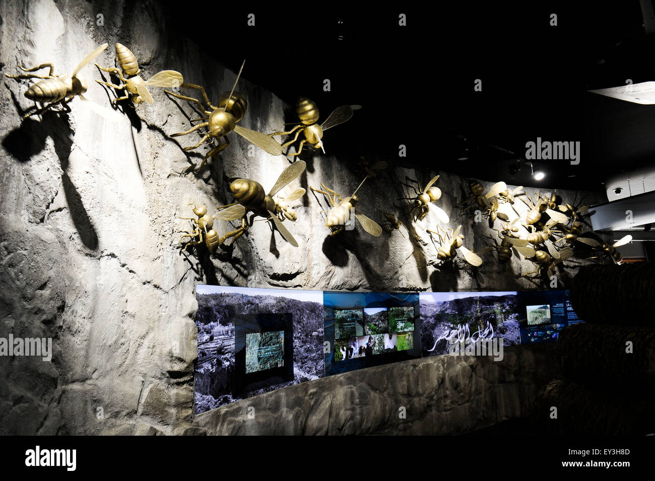 Italien Mailand Expo Pavillon Oman 2015, Architektur, Gebäude, Stadt, bunten, Bau, Europa, europäisch, Veranstaltung, Veranstaltungen, Informations Stockfoto