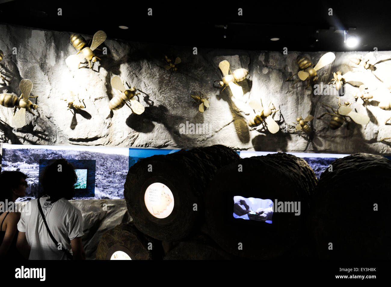 Italien Mailand Expo Pavillon Oman 2015, Architektur, Gebäude, Stadt, bunten, Bau, Europa, europäisch, Veranstaltung, Veranstaltungen, Informations Stockfoto