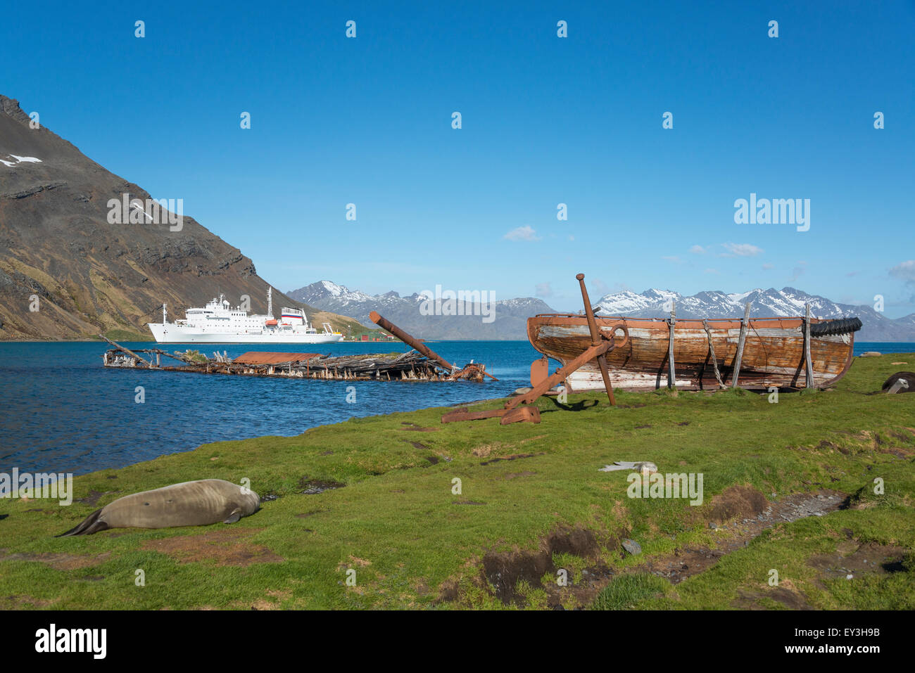 Blick auf die Akademik Sergey Vavilov, einem russischen Polarforschung Schiff, in der Nähe von Grytviken auf Südgeorgien. Stockfoto