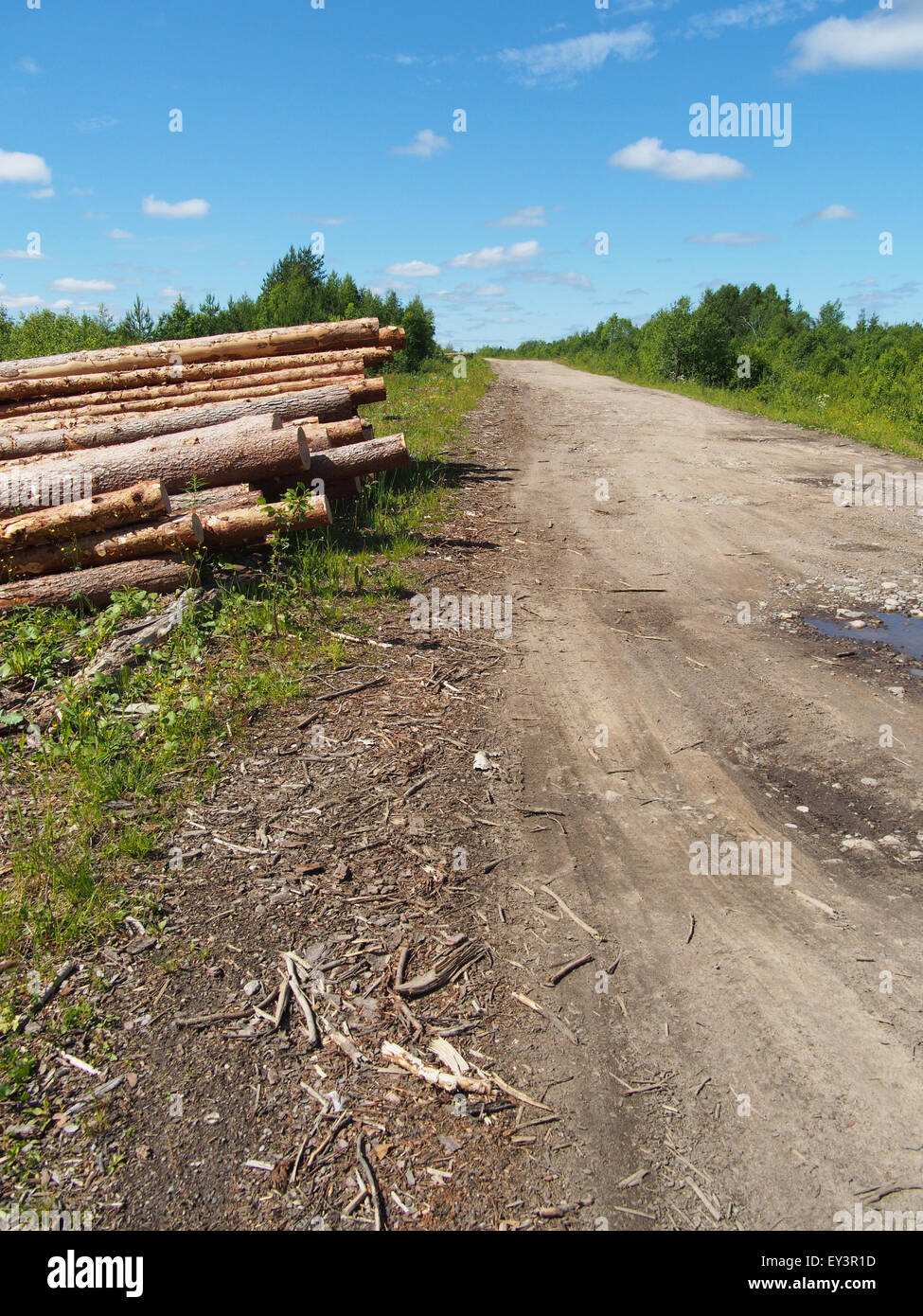 Protokolle, off-road Stockfoto