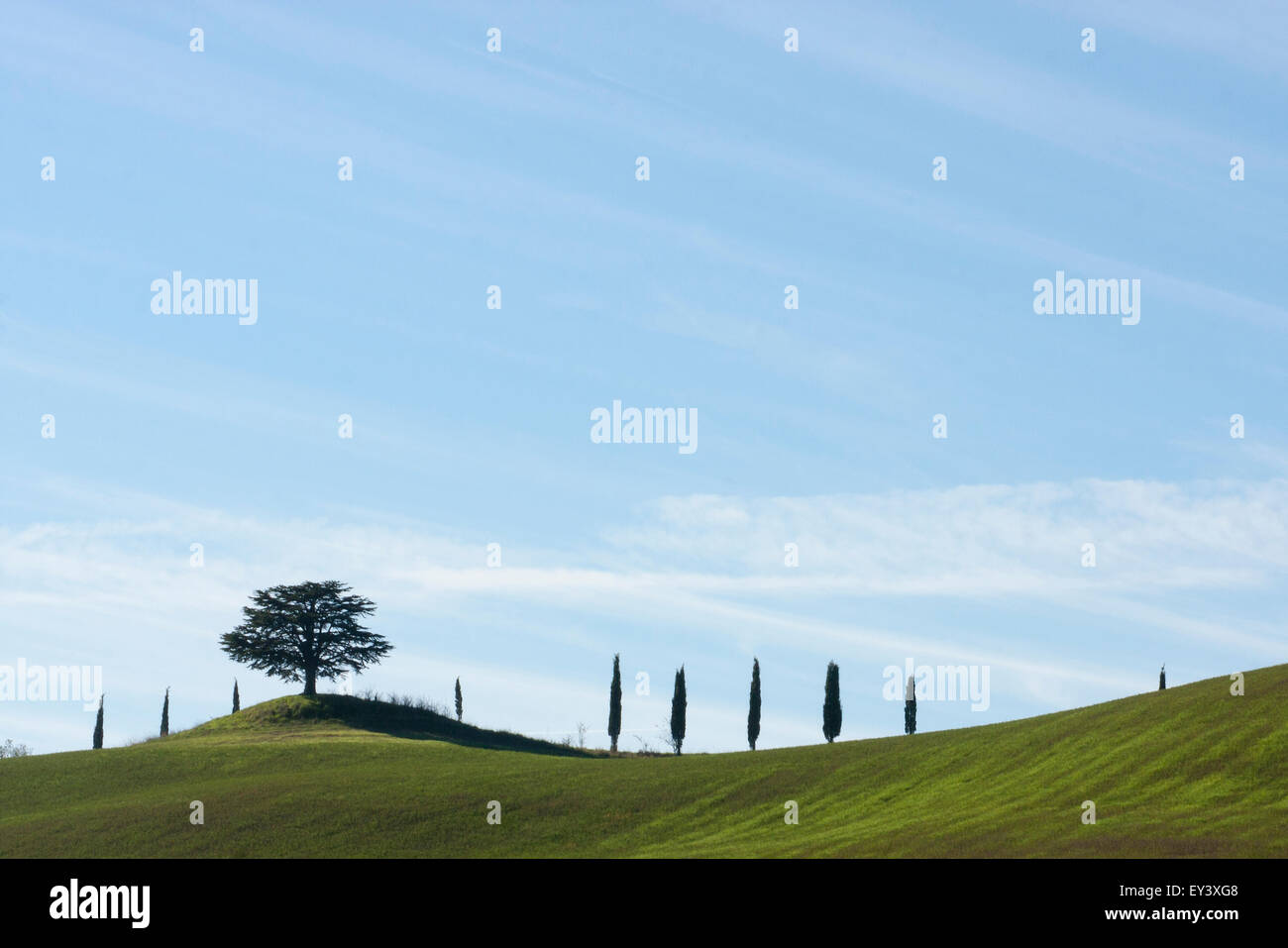 Sanfte Hügel und Zypressen, die Silhouette am Horizont unter blauem Himmel. Stockfoto
