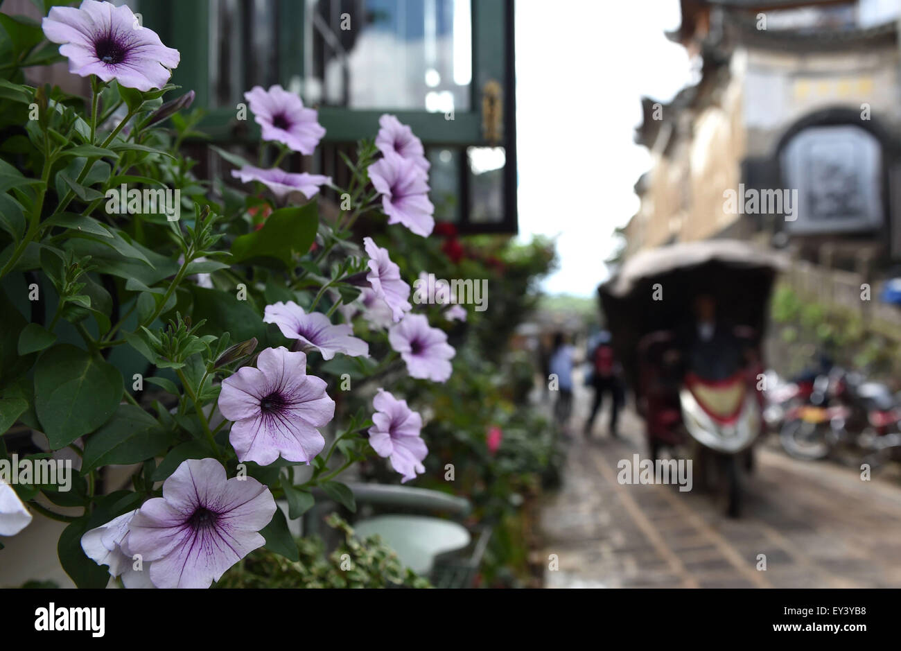 (150721)--TENGCHONG, 21. Juli 2015 (Xinhua)--Foto aufgenommen am 20. Juli 2015 zeigt eine Szene in Heshun Township von Tengchong County, Südwesten der chinesischen Provinz Yunnan. Heshun Township befindet sich im Westen der Provinz Yunnan, eine kleine alte Stadt mit angenehmem Klima und ruhiger Umgebung. Klein, wie es ist, die Stadt ist ein bezaubernder Ort in vielerlei Hinsicht. Achtzig Prozent der Bevölkerung wird zurückgegeben, Übersee Chinesisch oder Familien von Überseechinesen. Es war eine wichtige Station auf der alten "South Seidenstraße" wo trafen sich die chinesische Kultur mit derjenigen der Südost-Asien und dem Westen. Eigenen Stockfoto