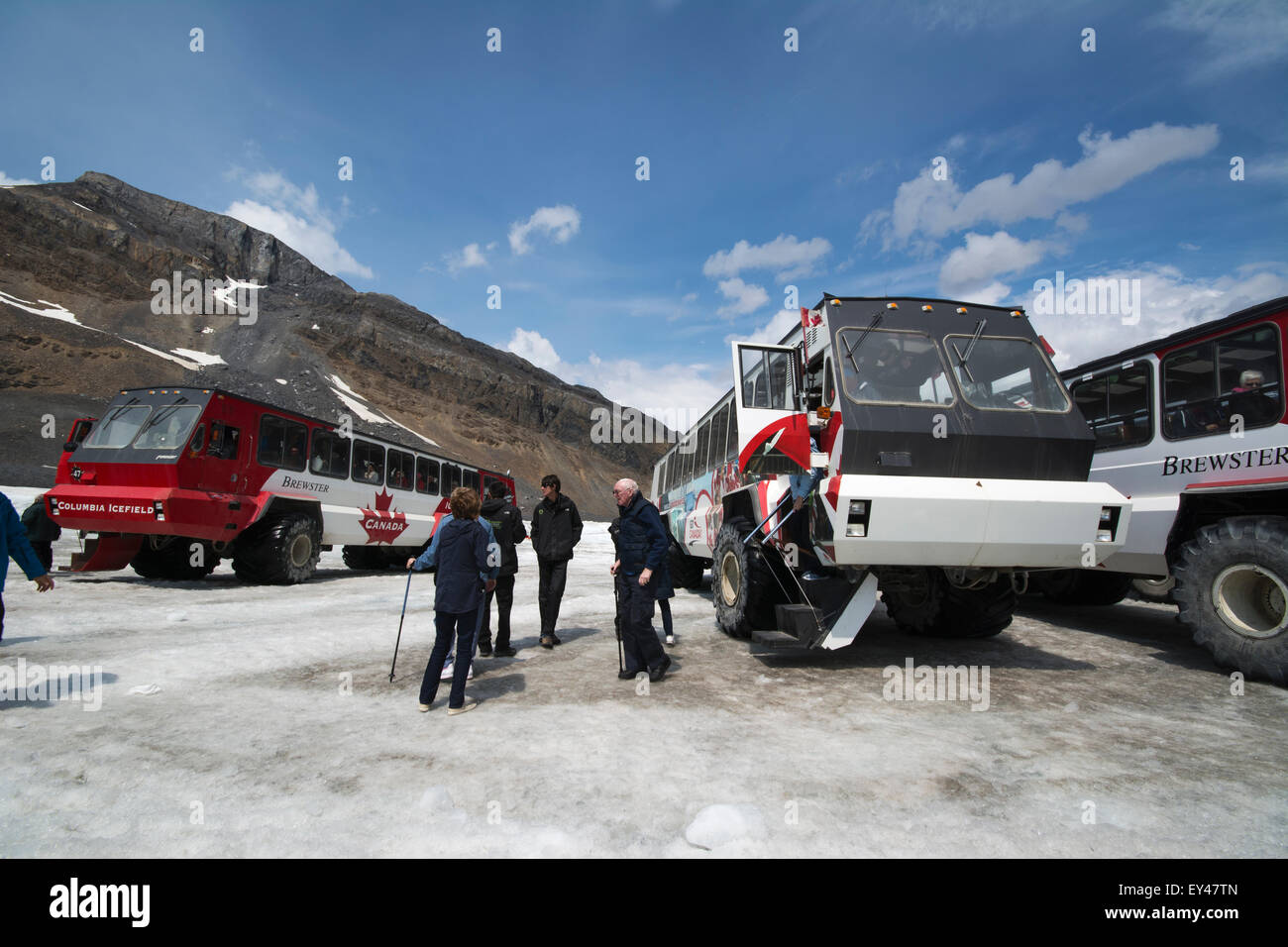 Schnee-Coaches.  Die schöne sanfte 25 Tonne/Tonne-Schmetterlinge, die nehmen Sie ein- und Ausschalten der Athabasca Gletscher, Alberta, Kanada. Stockfoto