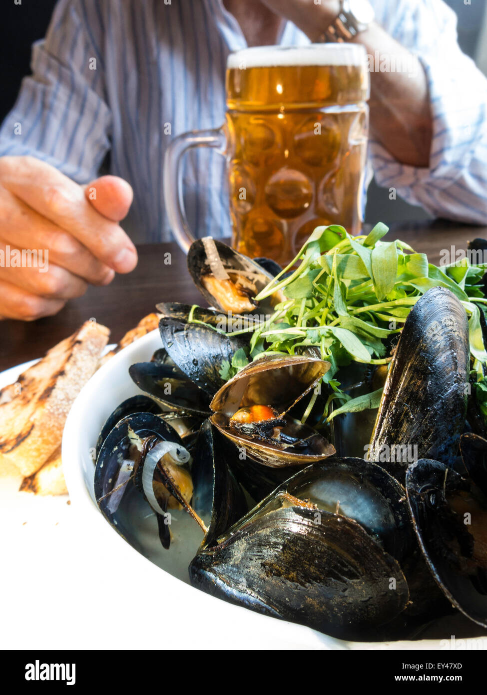 Schale mit Muscheln und Krug Bier, Gourmet-Restaurant Essen, USA Stockfoto