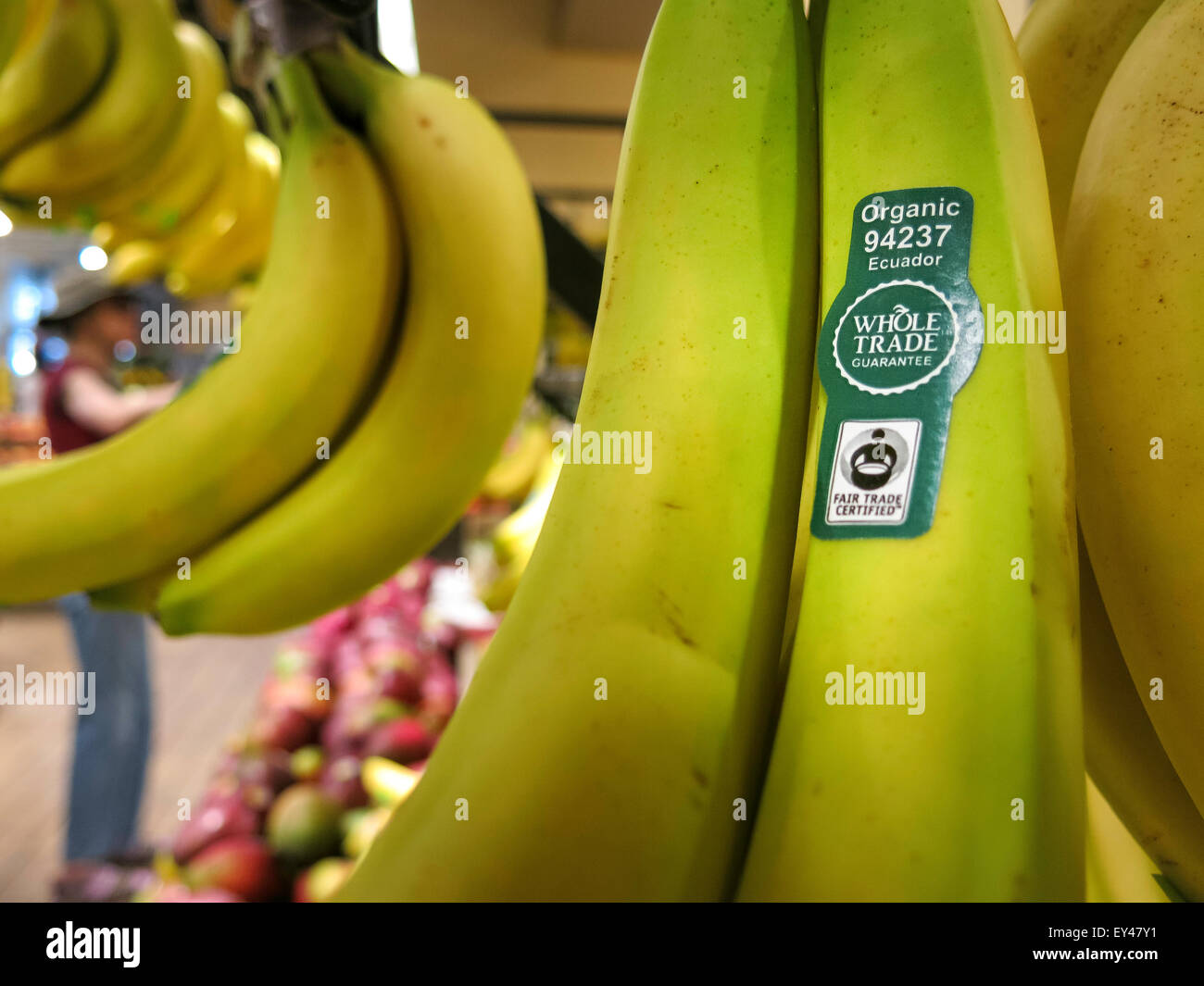 Hängende grüne Bananen, Lebensmittelgeschäft, USA Stockfoto