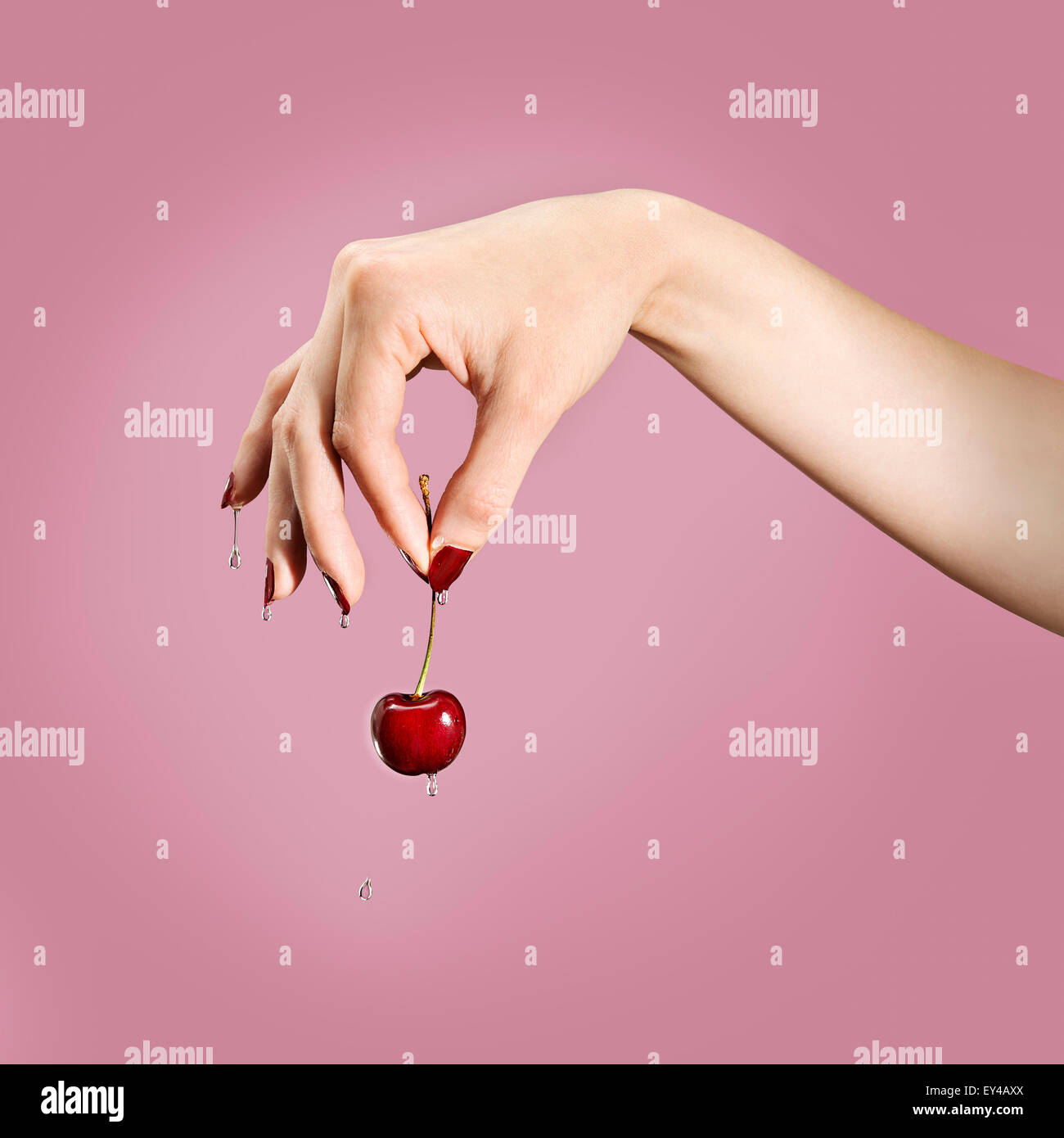 Frau mit Kirsche durch Stamm zwischen Daumen und Zeigefinger vor rosa Hintergrund Stockfoto