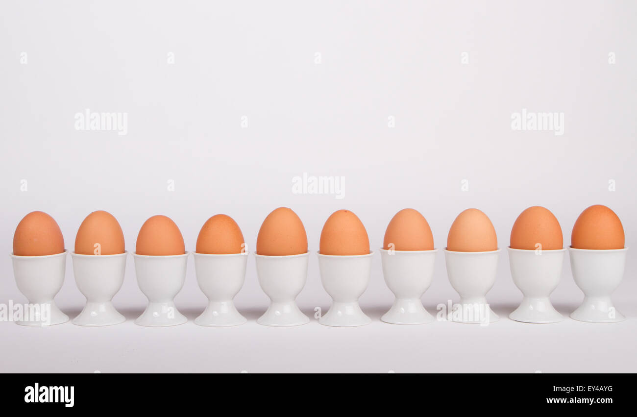 Reihe von braunen Eiern in Ei-Halter Stockfoto