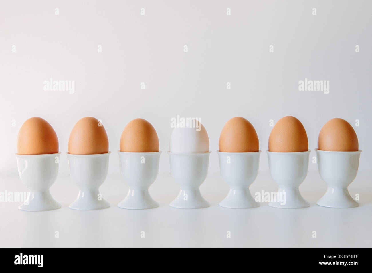 Weißes Ei in Reihe von braunen Eiern Stockfoto