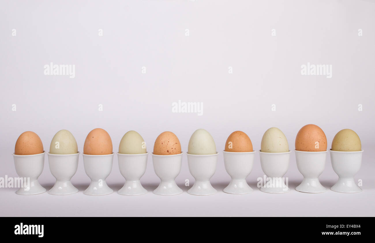 Reihe von sortierten Eiern in Ei-Halter Stockfoto