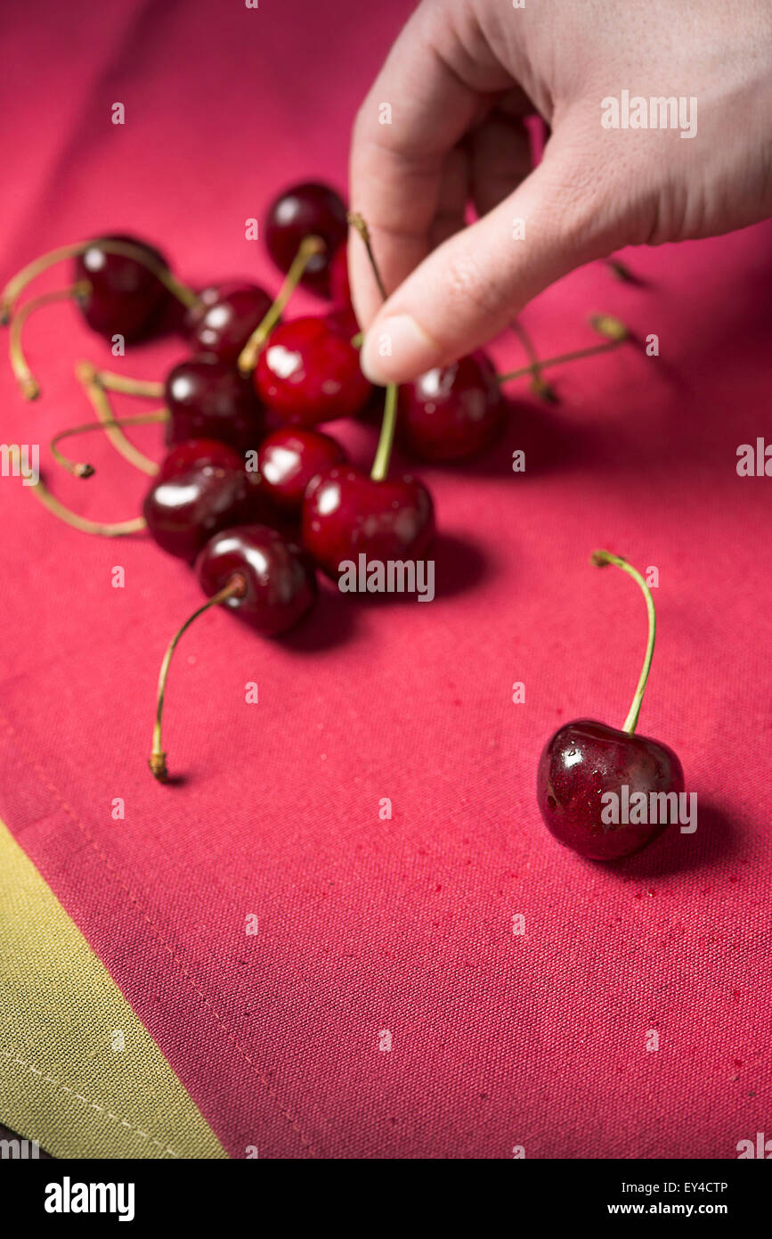 Die Hand aufheben Cherry vom Stapel auf Magenta Tischdecke Stockfoto