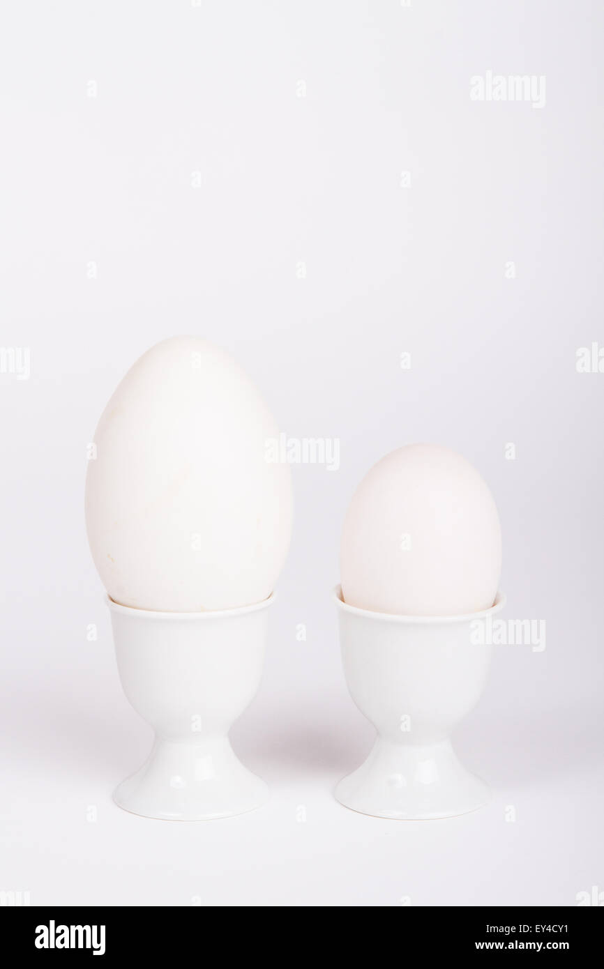 Kleine und große Ei im Ei-Halter Stockfoto