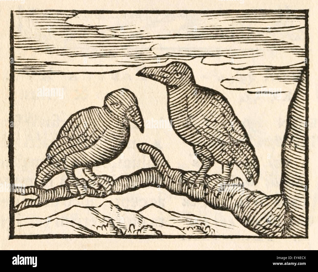 "Die Krähe und der Rabe" Fabel von Aesop (ca. 600). 17. Jahrhundert Holzschnitt Drucken zur Veranschaulichung Aesop Fabeln. Siehe Beschreibung für mehr Informationen. Stockfoto