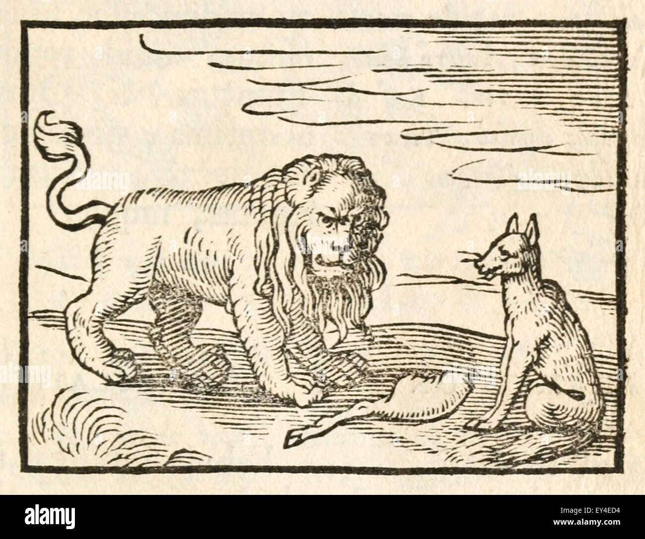 "Der Löwe und der Fuchs" Fabel von Aesop (ca. 600). 17. Jahrhundert Holzschnitt Drucken zur Veranschaulichung Aesop Fabeln. Siehe Beschreibung für mehr Informationen. Stockfoto