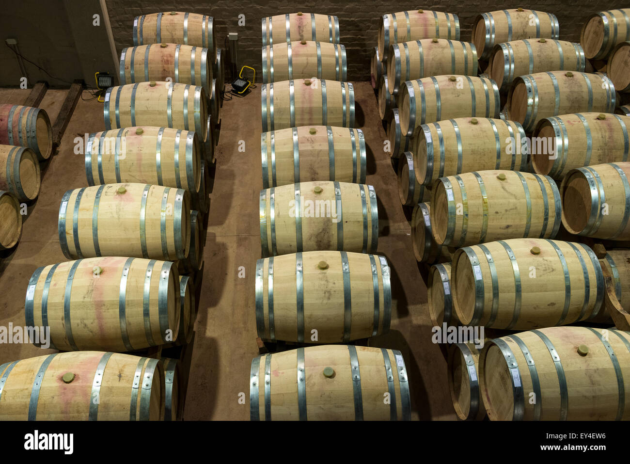 Roten Weinfässer hergestellt aus französischer Eiche bei Groot Constantia Wine Estate, Kapstadt, Südafrika Stockfoto