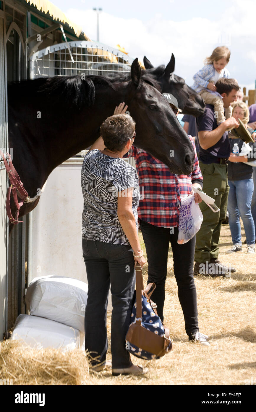 Die General Public treffen die Pferde aus dem Haushalt Kalvarienberg Stockfoto