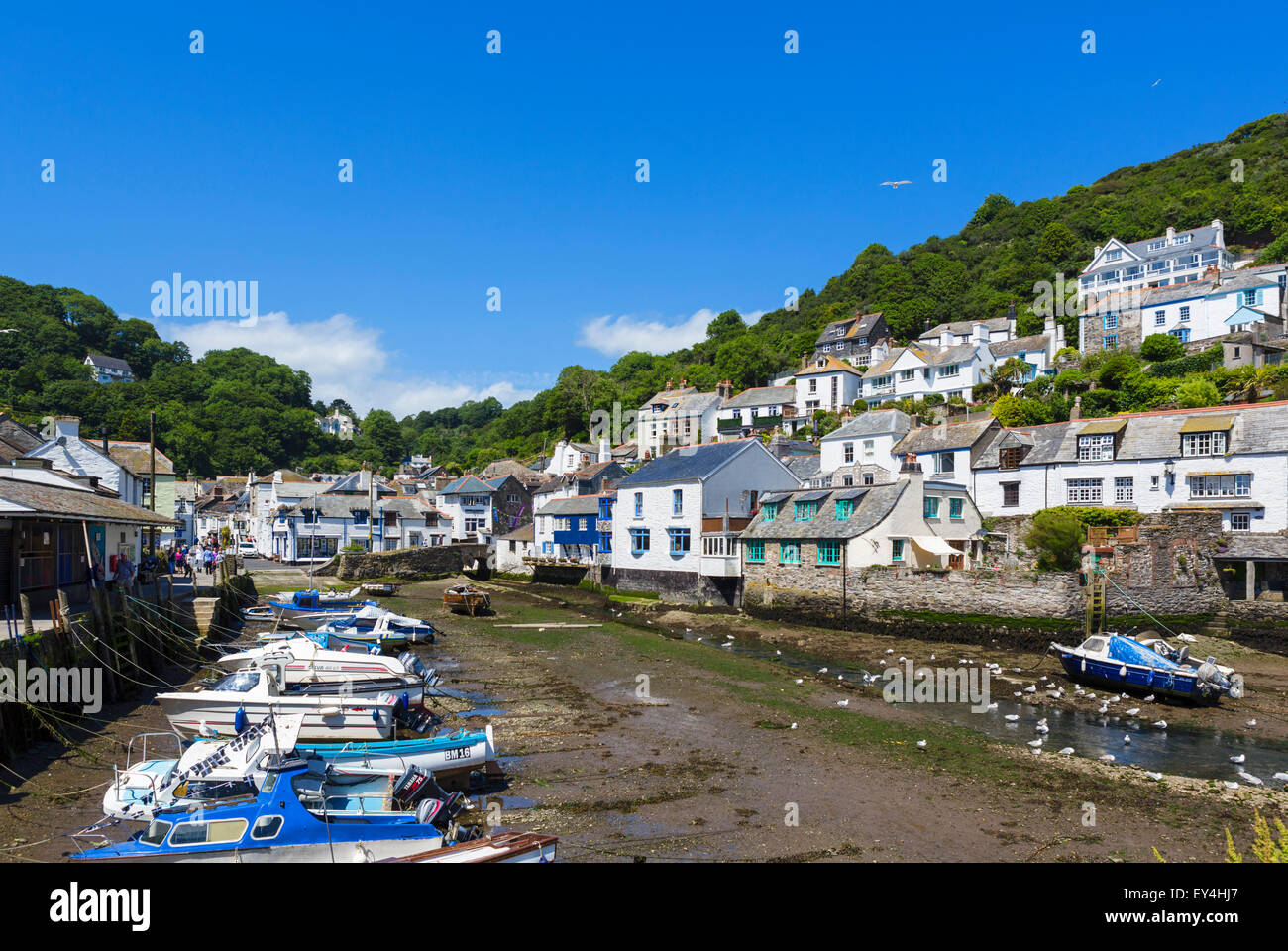 Der Hafen bei Ebbe in der Fischerei Dorf von Polperro, Cornwall, England, UK Stockfoto