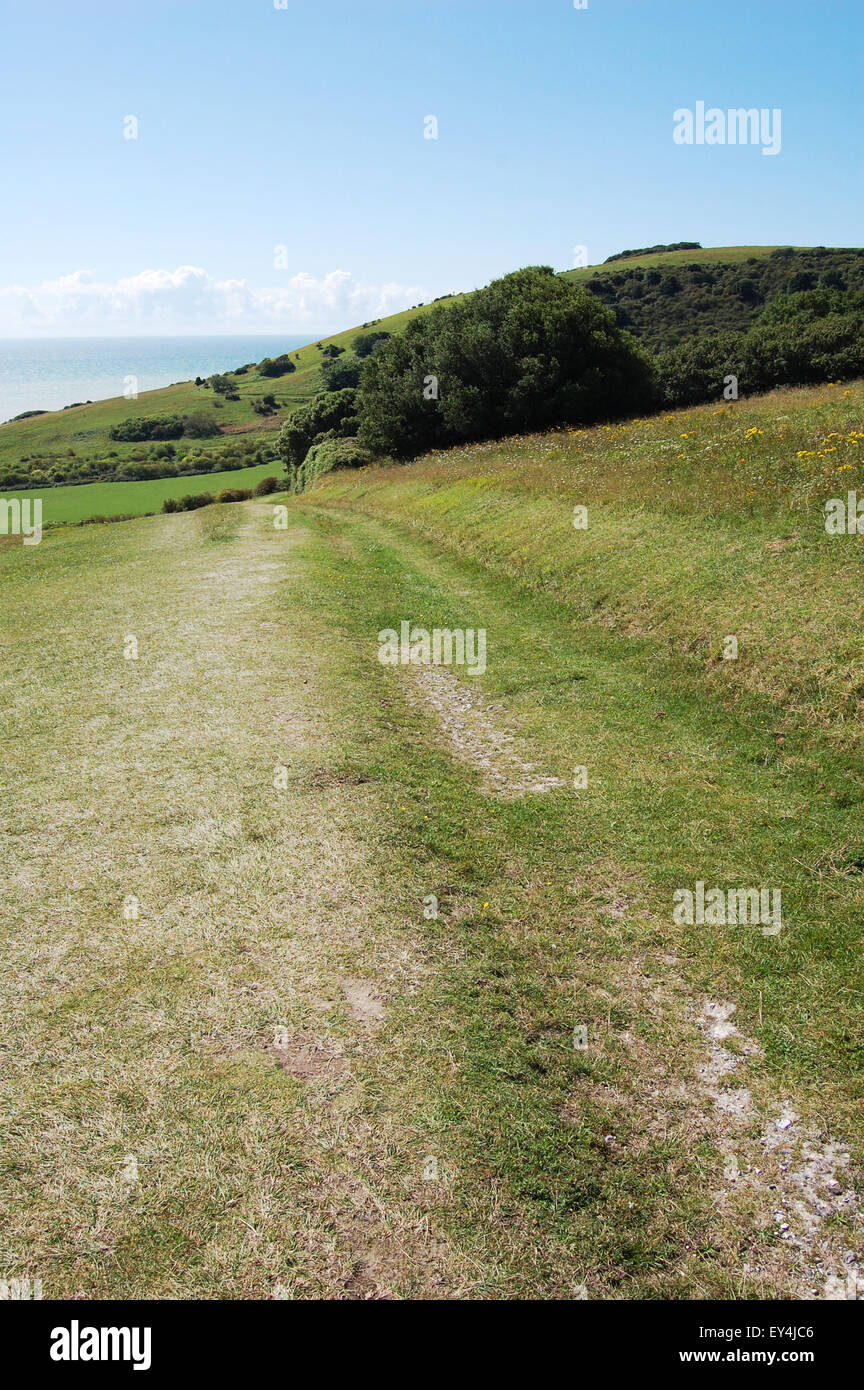 Die South Downs National Park zeigt einen Weg, der Teil der South Downs Way, einem alten Pfad ist. Stockfoto