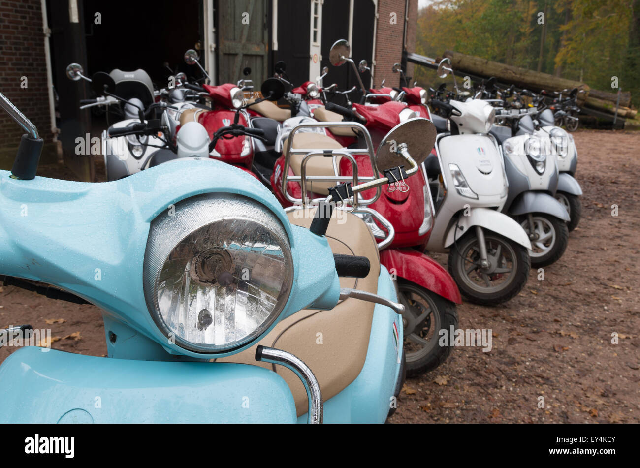 DENEKAMP, Niederlande - 15. November 2014: Reihe von Vintage Solex Moped zu  mieten. Die Mopeds wurden zwischen 1946 und 1988 produziert Stockfotografie  - Alamy