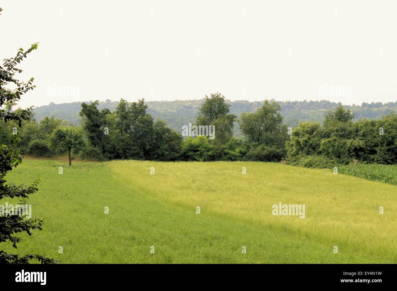 Landschaft mit unbebauten Feldern in Norditalien Stockfoto