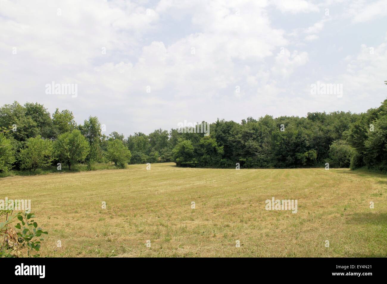 Landschaft mit unbebauten Feldern in Norditalien Stockfoto