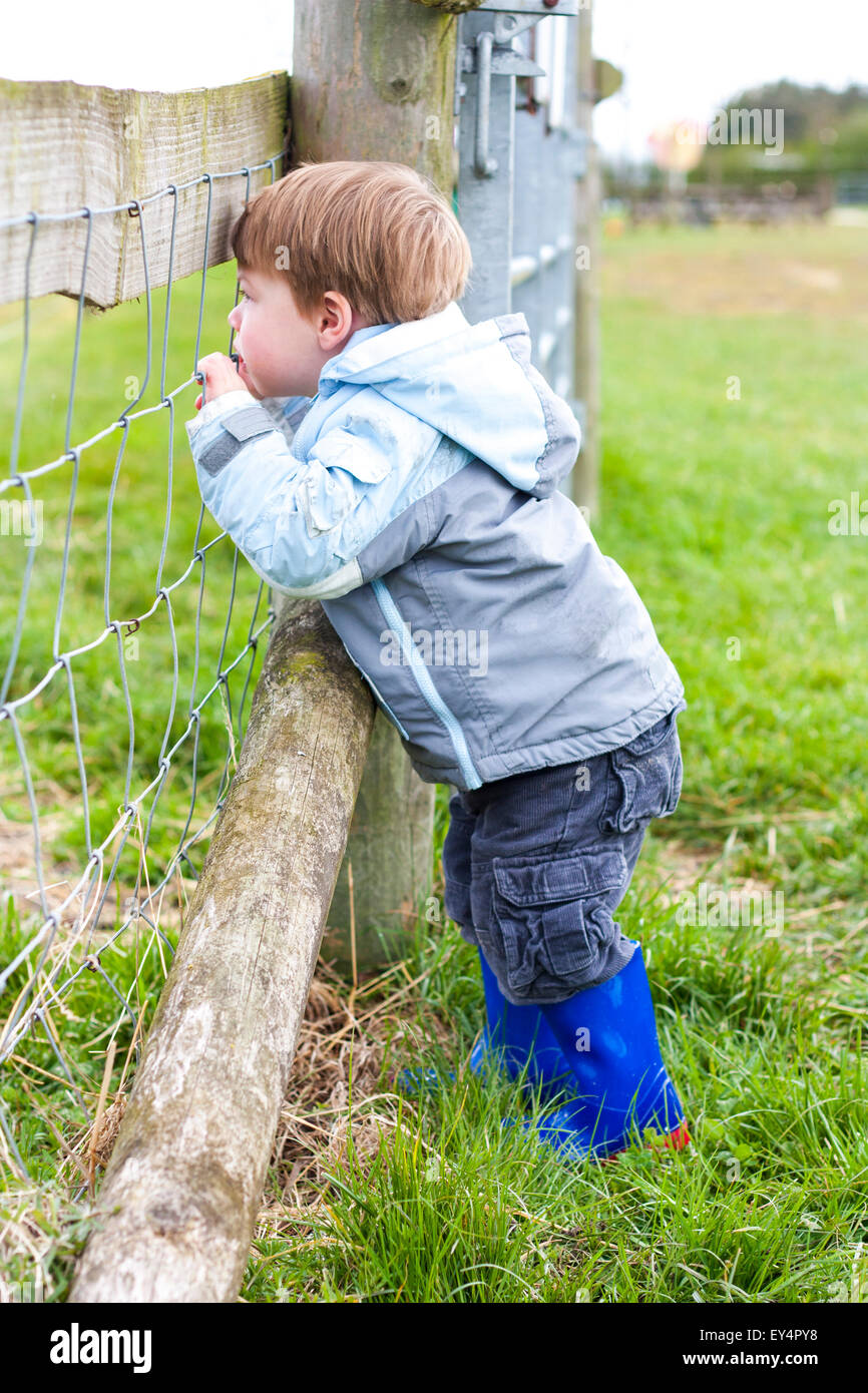 Ein kleiner Junge spähte durch einen Drahtzaun in ein Feld in der englischen Landschaft. Stockfoto