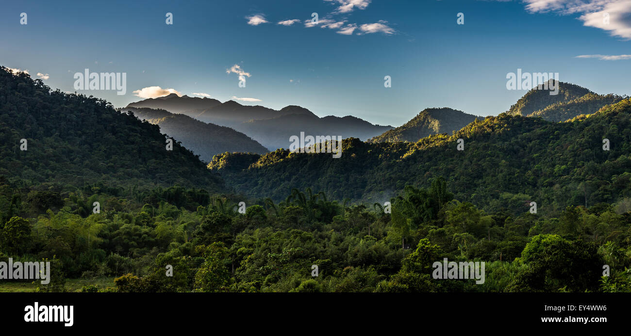Morgenlicht leuchtet auf Bergen und Regenwald. Mindo, Ecuador. Stockfoto
