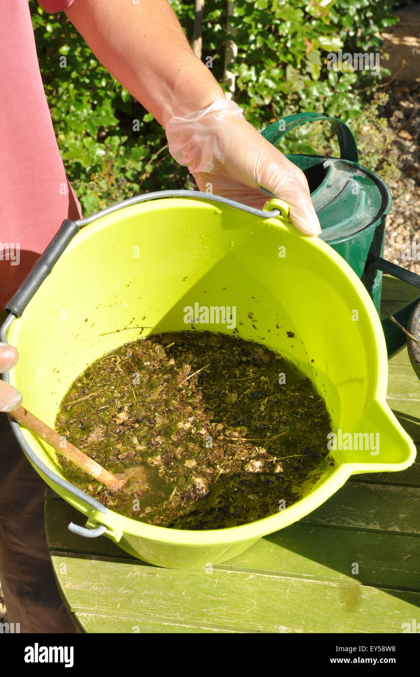wie oft muss man palmen düngen Palmen Dünger flüssig von Flora Boost main image 0