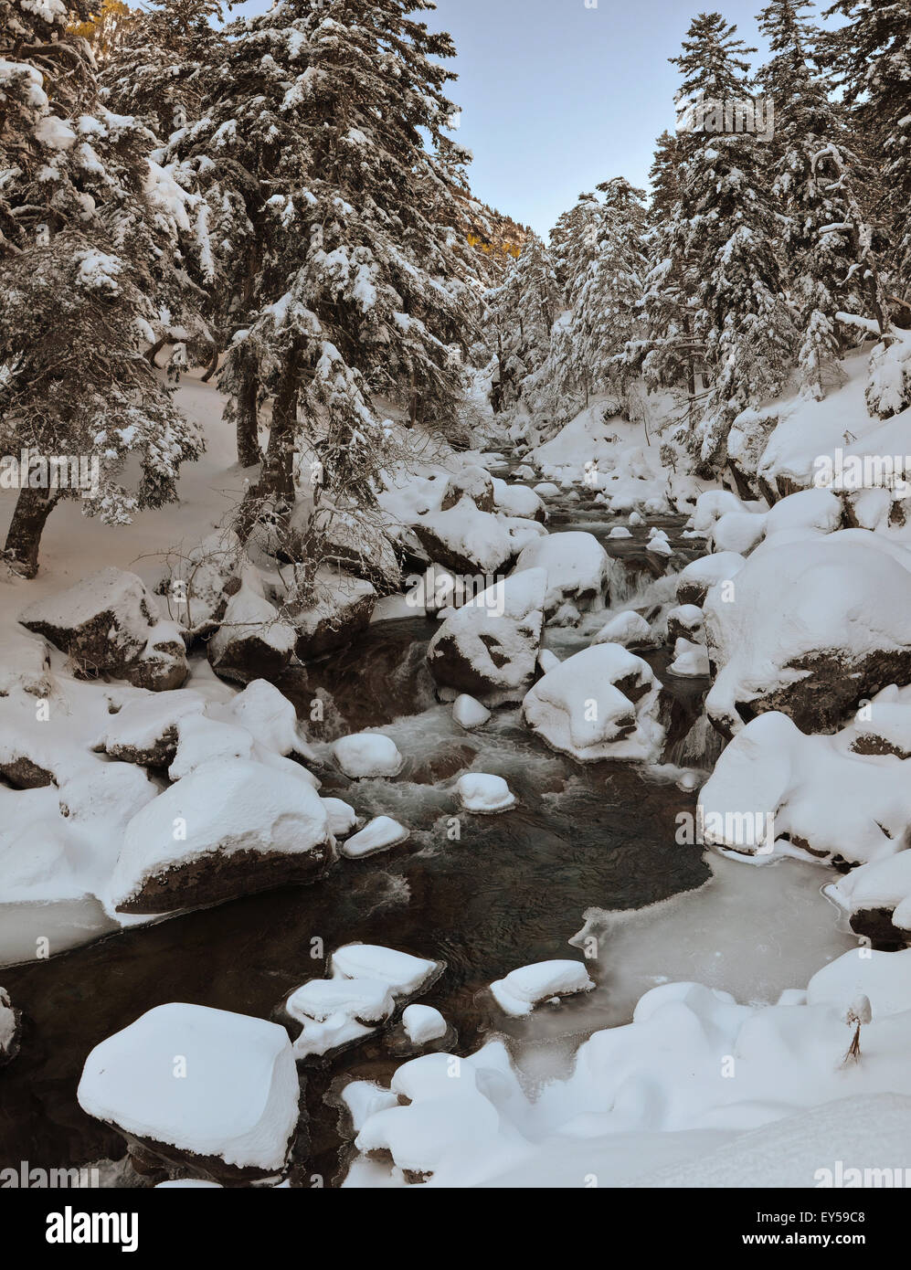 Frostfreien Bergbach Stockfoto