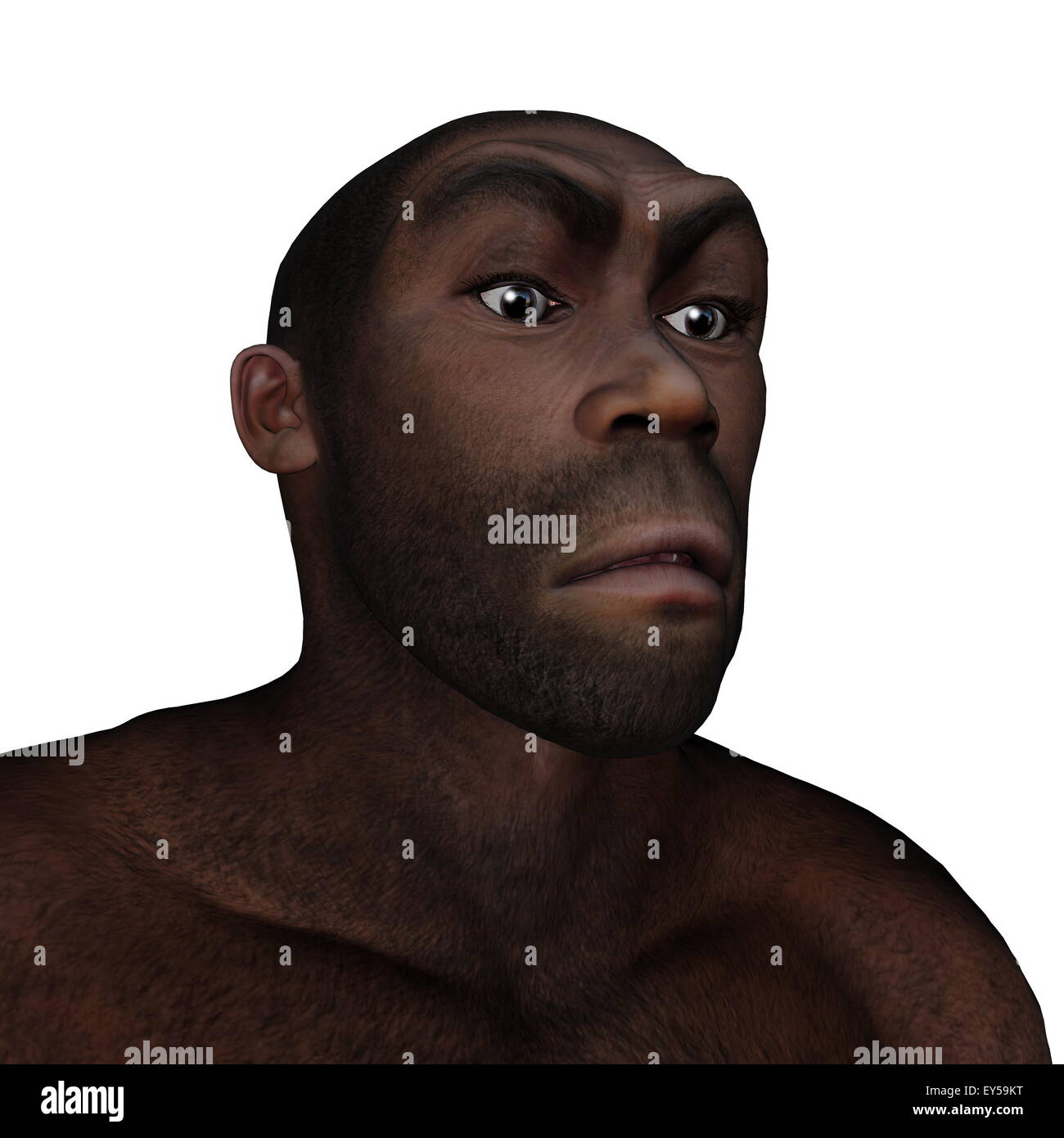 Männlichen Homo Erectus wütend Porträt isoliert in weißem Hintergrund - 3D render Stockfoto