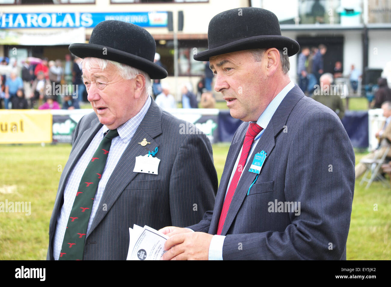 Builth Wells, Powys, Wales, UK. 22. Juli 2015. Royal Welsh Show Richter mit ihrer Bowler-Hüte in der Vieh-Ring werfen ihre Augen auf Rinder in einer Regendusche ausgestattet. Die viertägige Veranstaltung zog mehr als 240.000 Besucher und 7.000 Tiere Einträge zu Europas größten Agrarmesse. Stockfoto