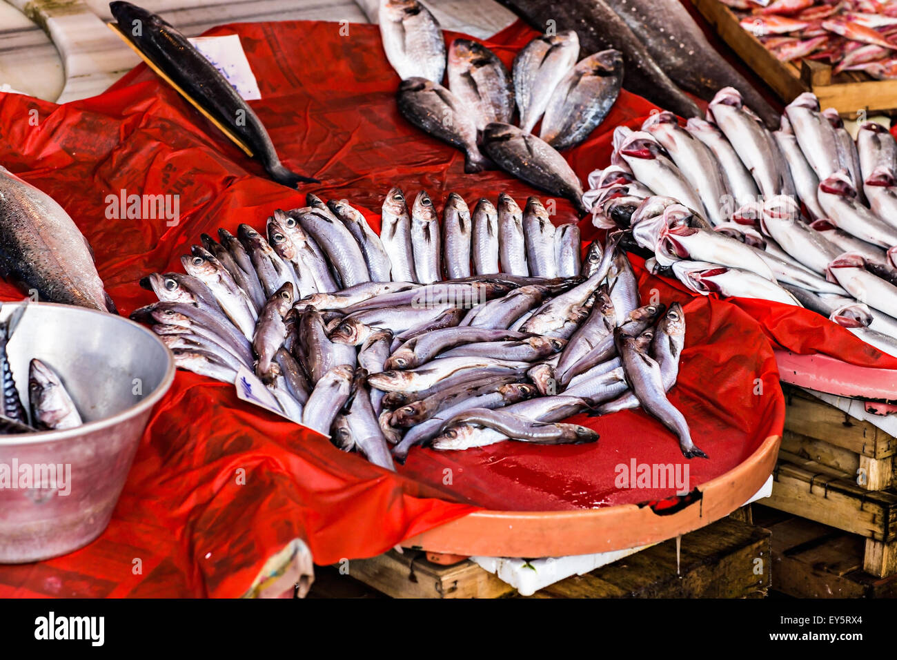 Frischen Fisch in einem Fischmarkt Stockfoto