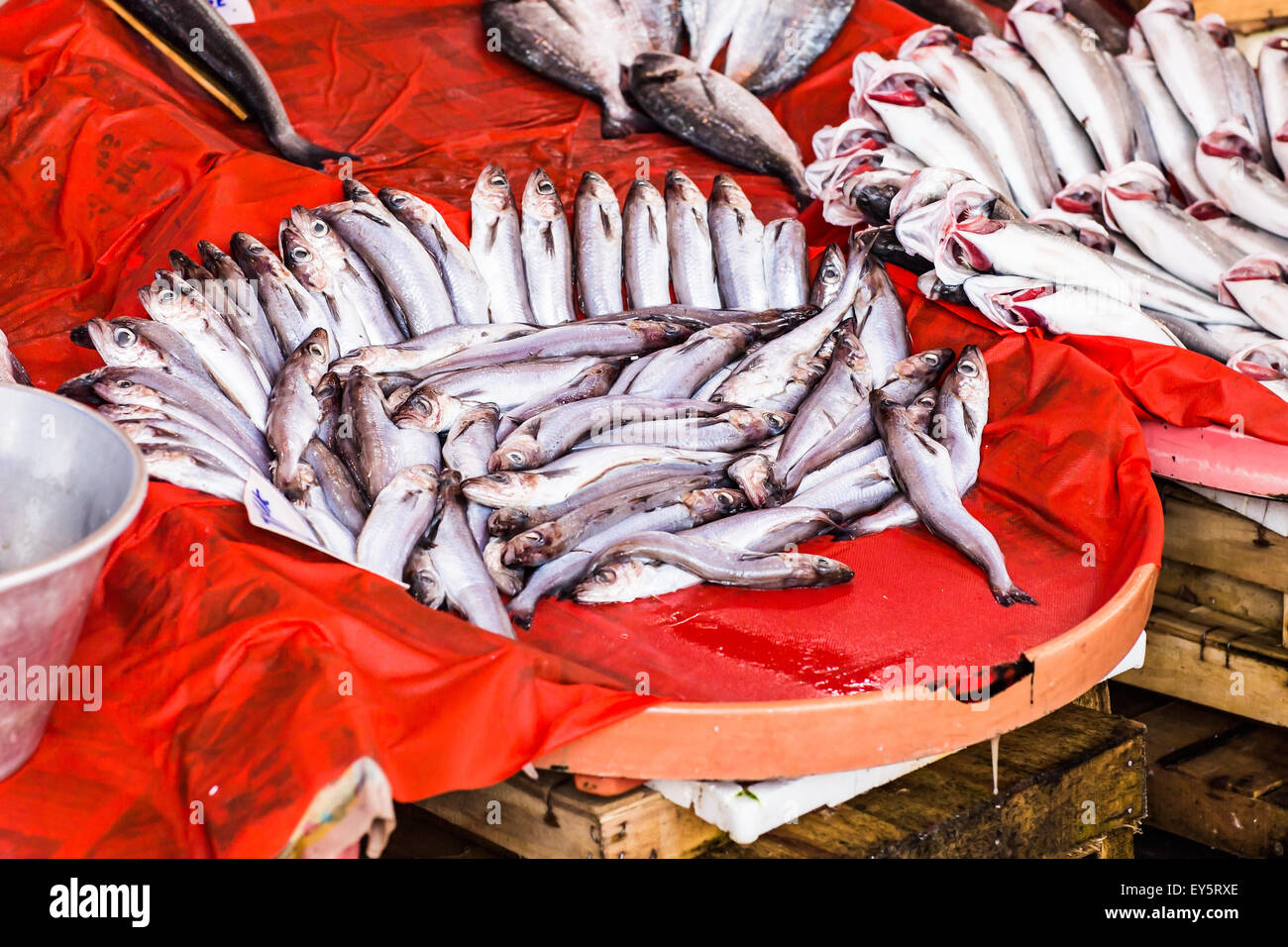 Frischen Fisch in einem Fischmarkt Stockfoto