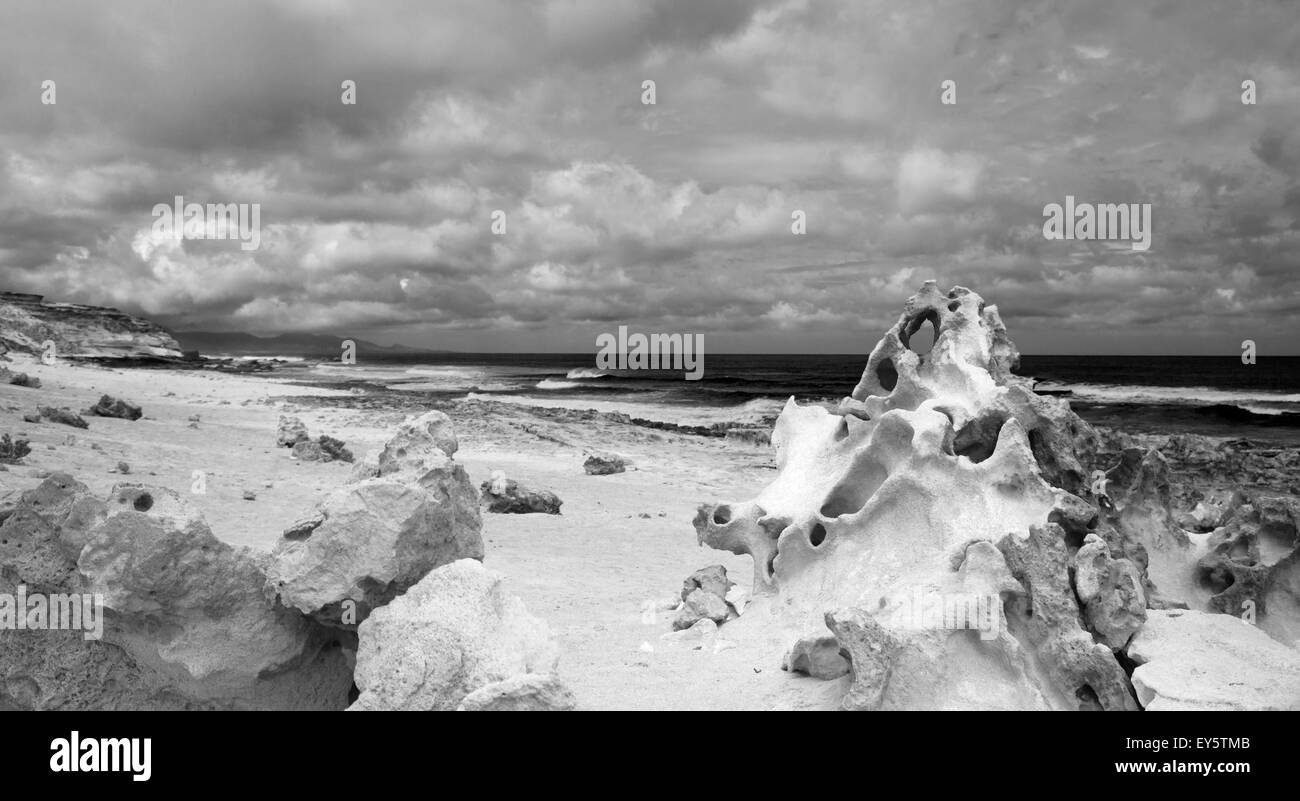 Fuerteventura, Kanarische Inseln, Westküste von Jandia, erodierten Sandstein Strukturen, Monochrom Stockfoto