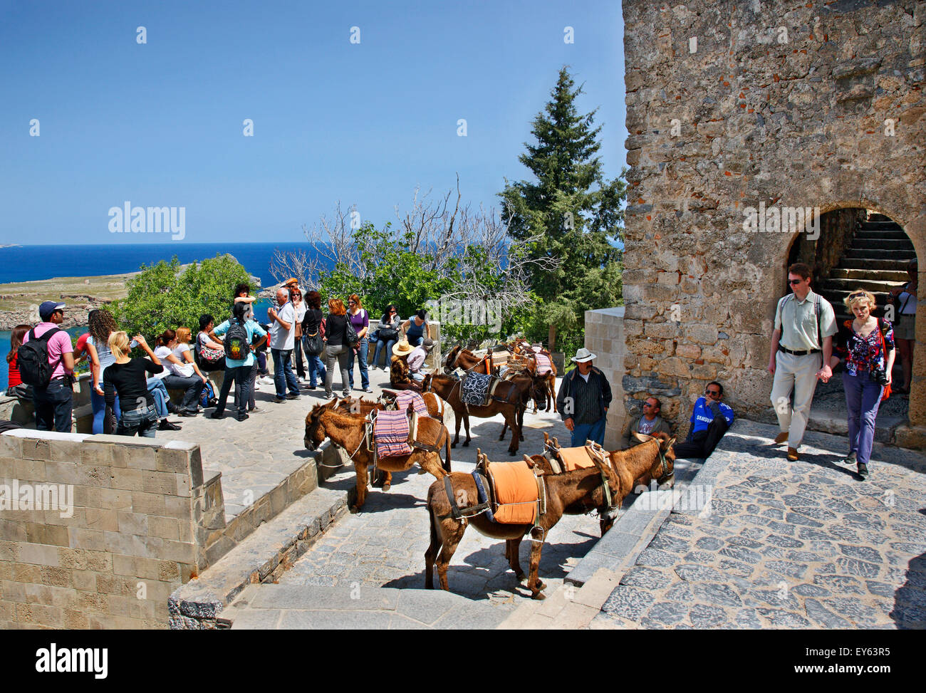 Esel (lokales Thye ' Taxi') und Touristen an der Pforte der Akropolis von Lindos, Rhodos, Dodekanes, Griechenland Stockfoto