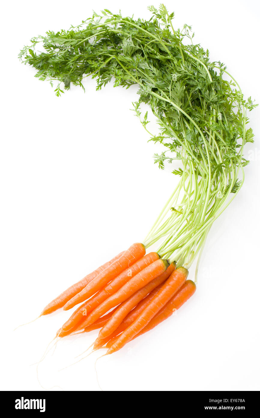 Frische Karotten Stockfoto