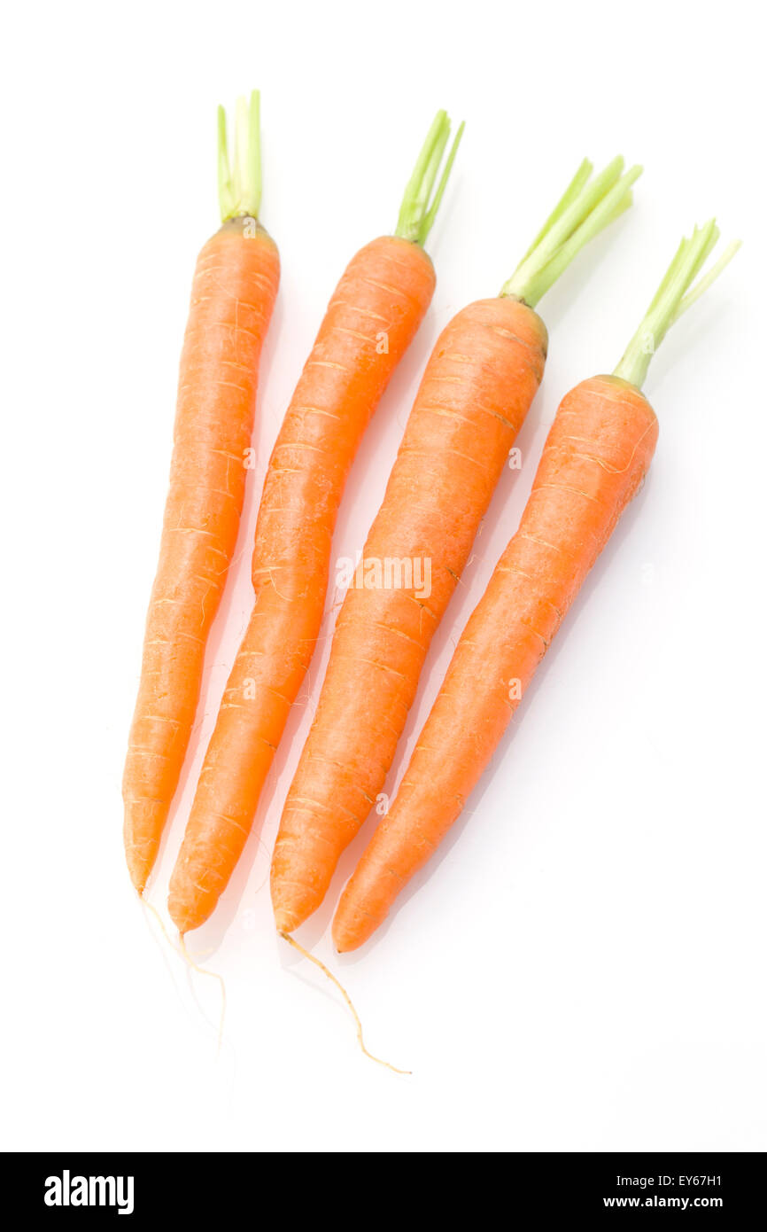 Frische Karotten Stockfoto