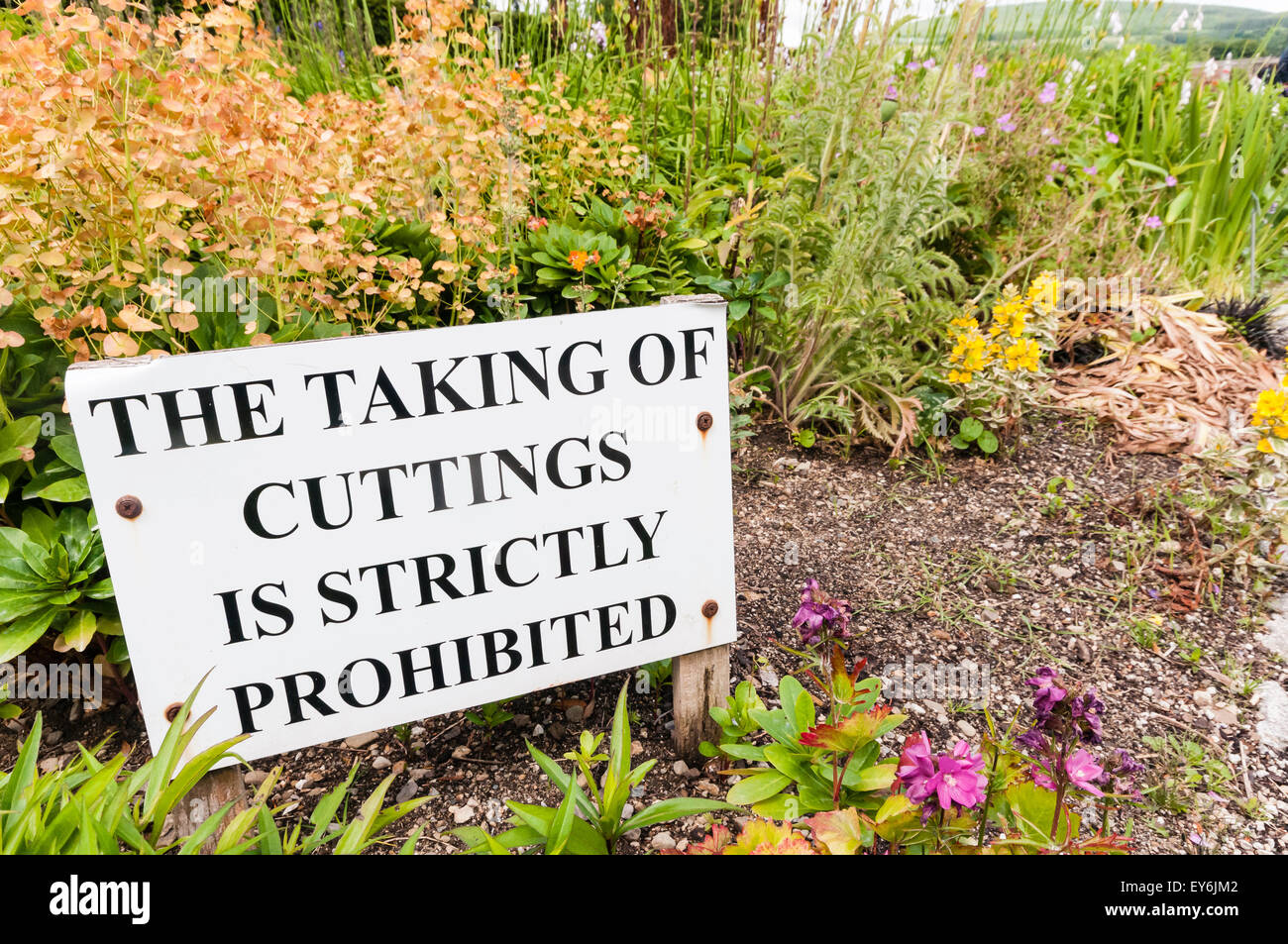 Melden Sie sich bei einem formalen Garten Warnung Besucher nicht Stecklinge nehmen Stockfoto