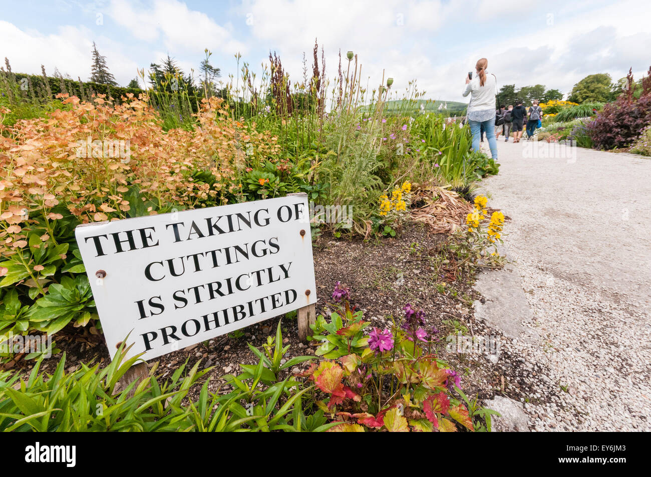 Melden Sie sich bei einem formalen Garten Warnung Besucher nicht Stecklinge nehmen Stockfoto